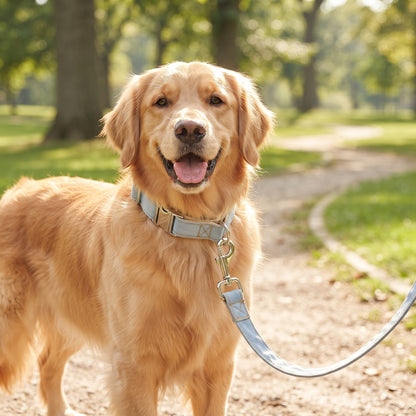 Blue Denim Dog Collar & Leash Set – XS to XL